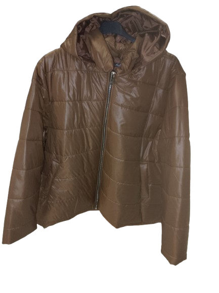 Piumino over art. 1564