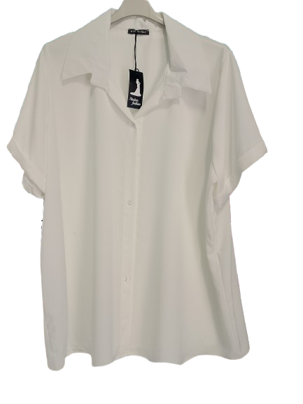 Camicia art. 2300