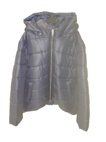 Piumino over art. 1564