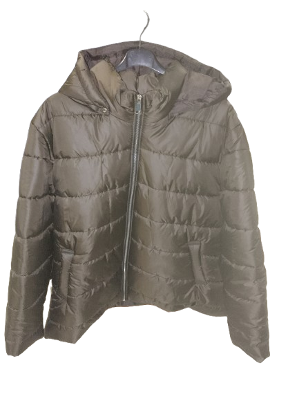 Piumino over art. 1564