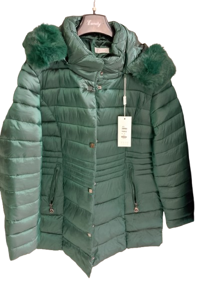 Piumino art. 2998