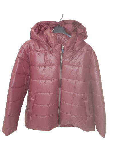 Piumino over art. 1564